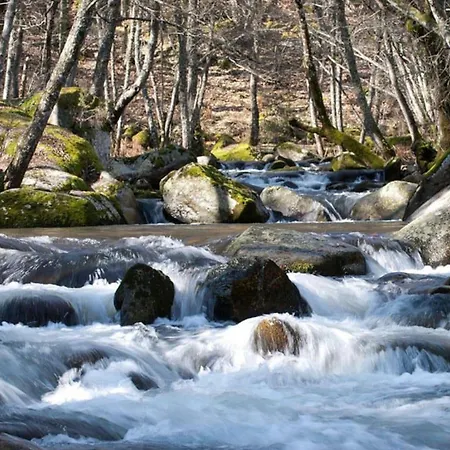 Boutique Casa Palacio